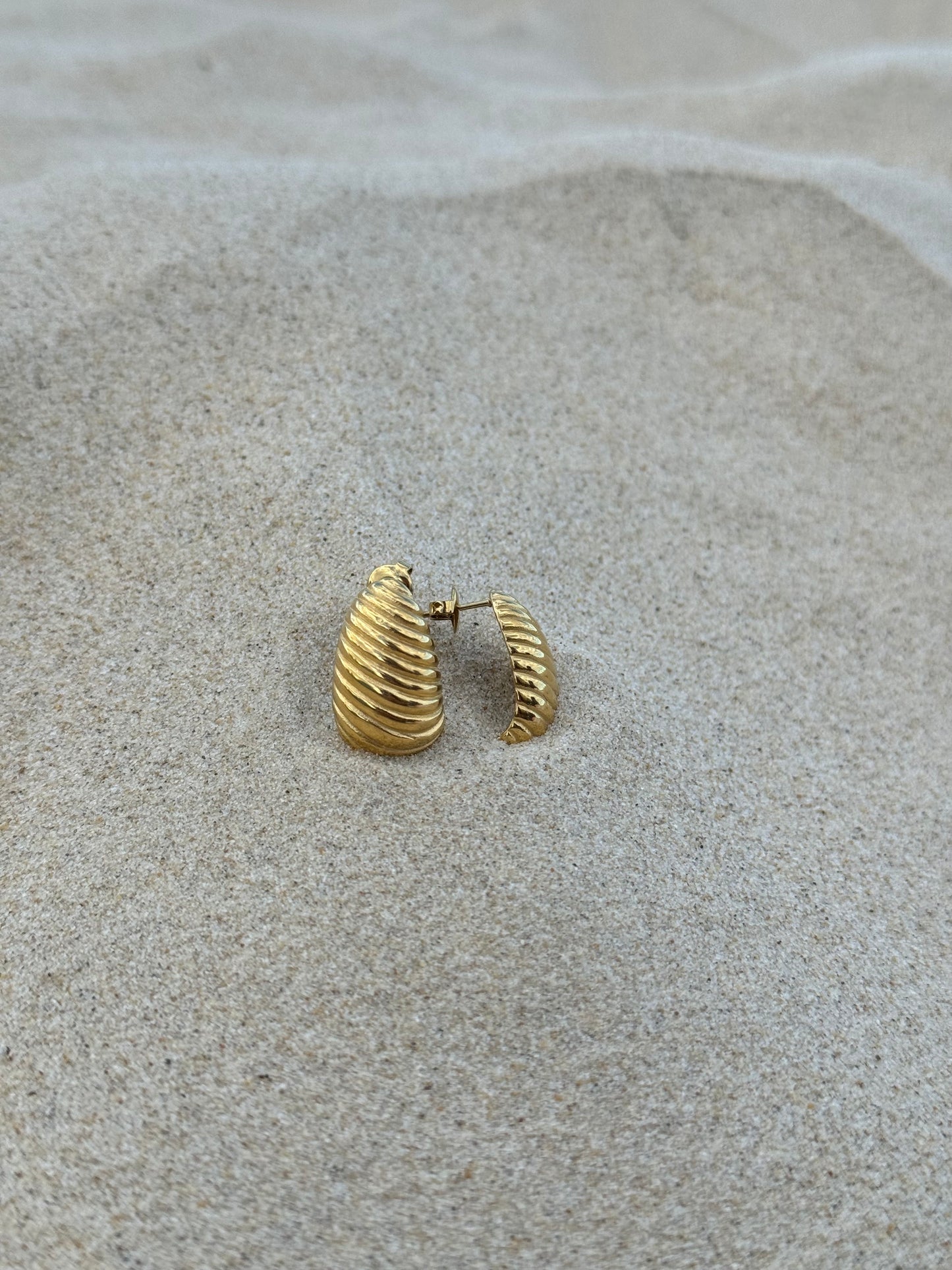 Her Sea Shell Earrings